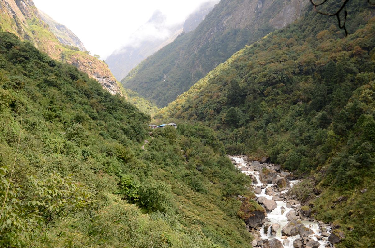 22 Himalaya Is Just Up Ahead Next To The Modi Khola On Trek To Annapurna Sanctuary 